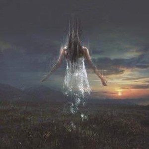 Meet your Posher, Shawna